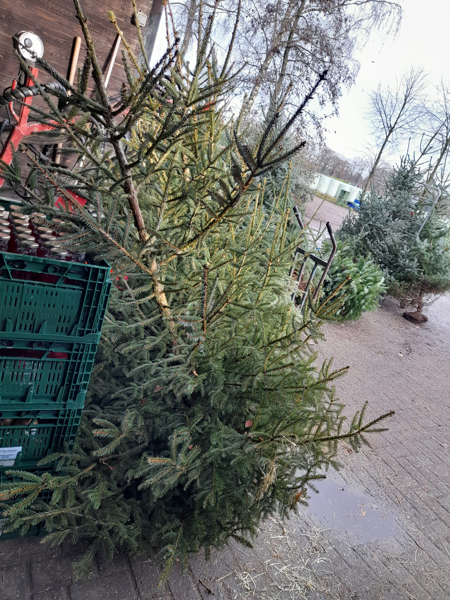 Nu ook Kaarsen van Zozijn dagbesteding Hilgelobij Boerderijwinkel Lensink.